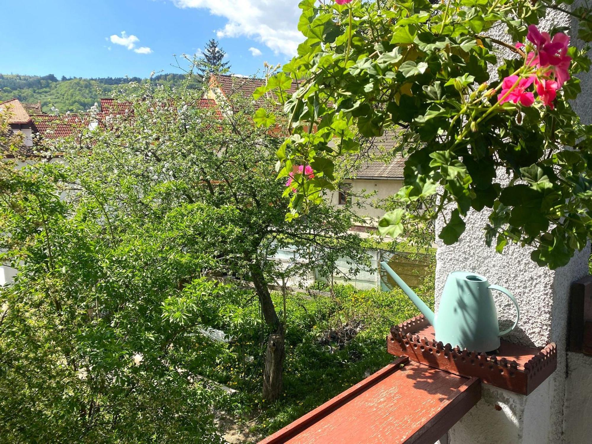 Rose'S Oldtown Apartment Braszów Zewnętrze zdjęcie