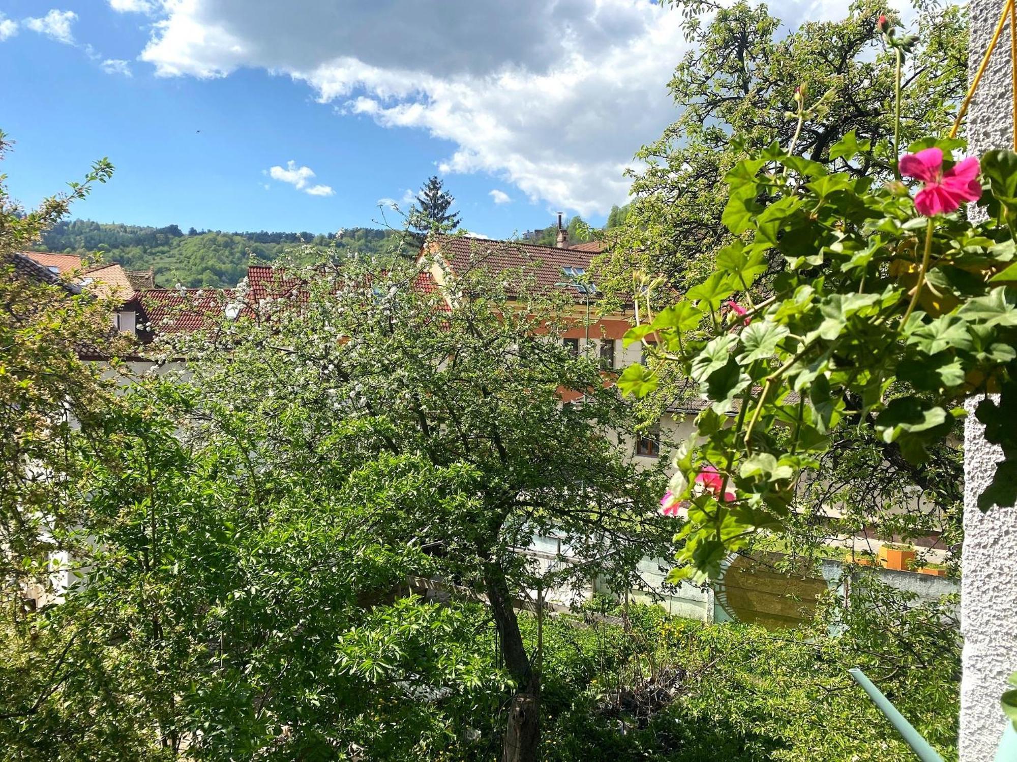 Rose'S Oldtown Apartment Braszów Zewnętrze zdjęcie